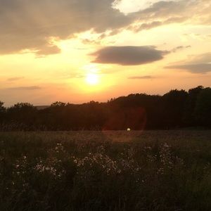 Meet your Posher, Deborah